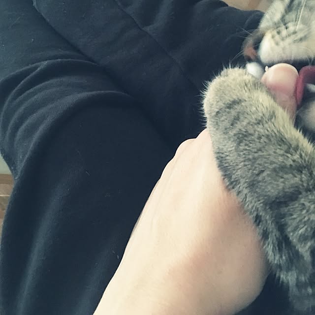 sayasさんの実例写真