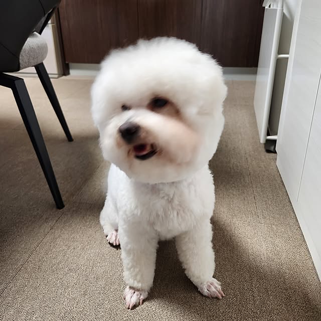 takoさんの部屋