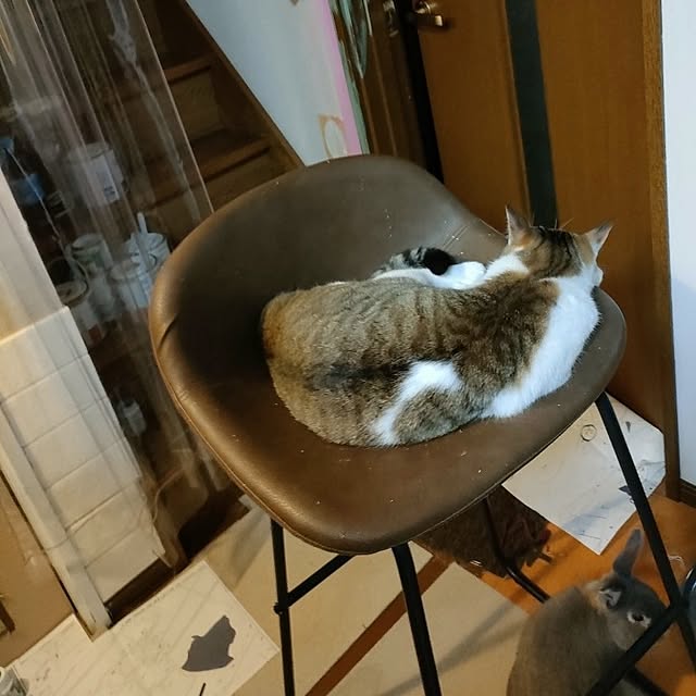 mori_6_12さんの部屋
