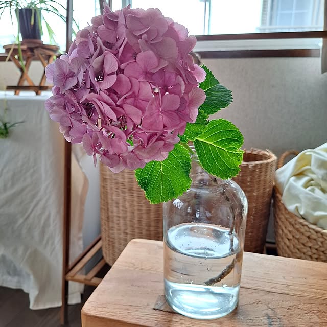 midoriさんの実例写真