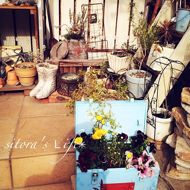 sitoraさんの実例写真