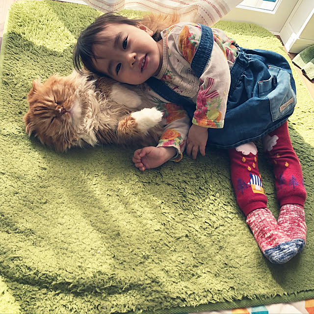 piyolandさんの実例写真