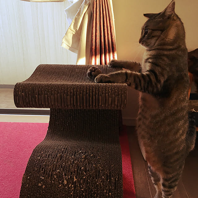 mikomaruさんの実例写真
