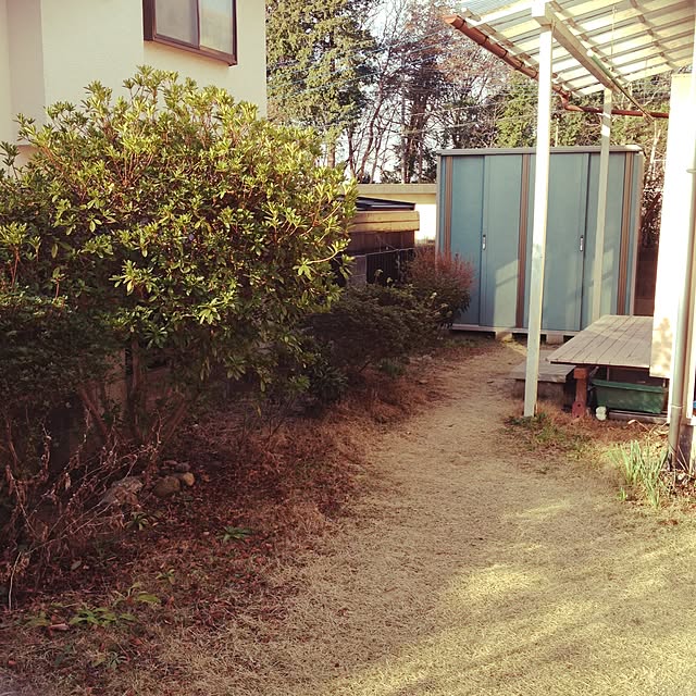 omoideinmy45さんの実例写真