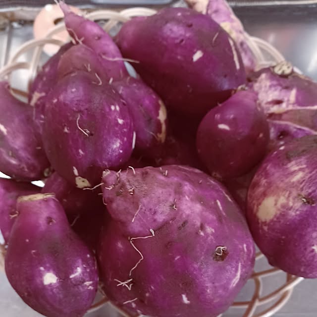 hiro.904さんの実例写真