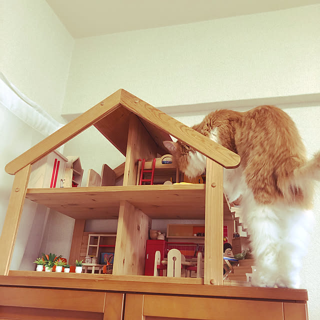 uchidaizuさんの実例写真