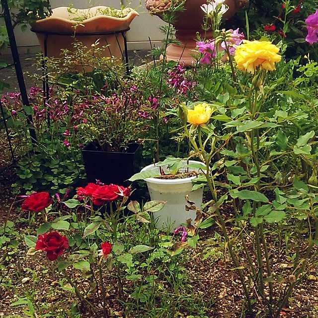 Tomopさんの実例写真