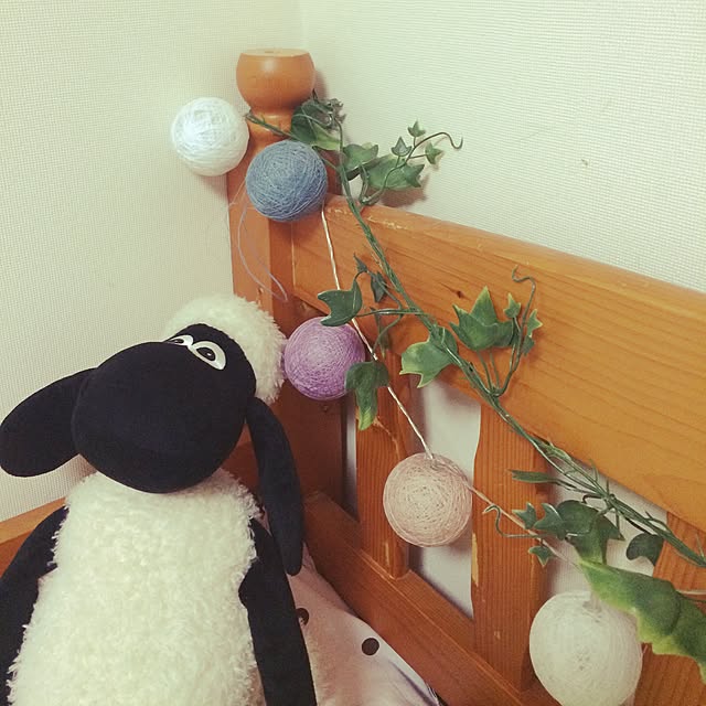 pypy_tさんの実例写真