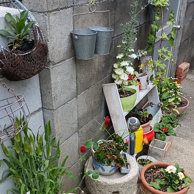 coco1204さんの部屋