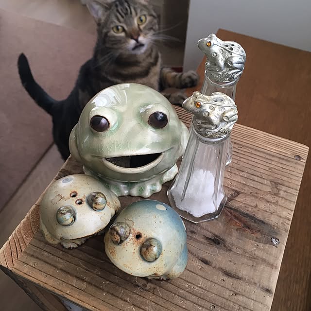 mikomaruさんの実例写真