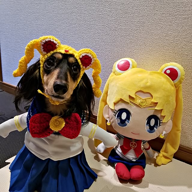 momozouさんの実例写真