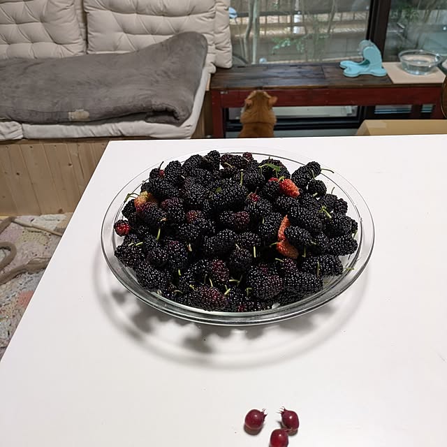 mori_6_12さんの実例写真