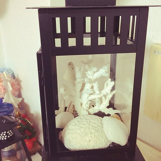 棚/珊瑚/IKEAのインテリア実例 - 2015-09-21 08:59:41