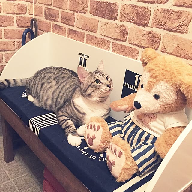 Manamiさんの実例写真