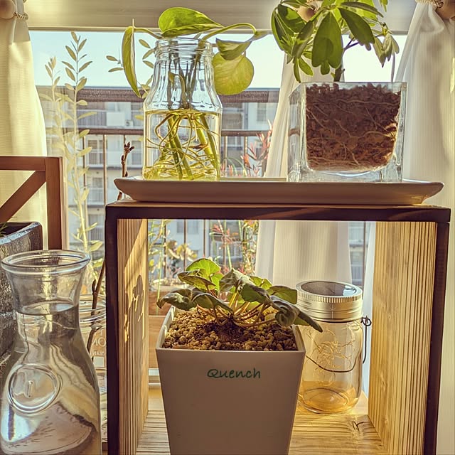 mi-saさんの部屋