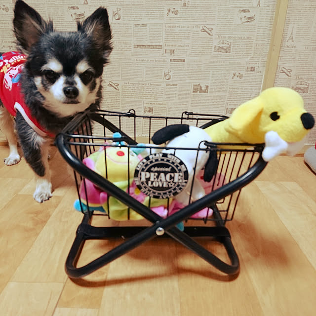 lovepeaceさんの実例写真