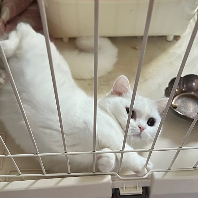 AYUKOさんの部屋