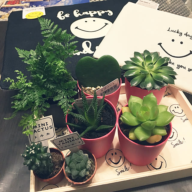 tomobaさんの実例写真
