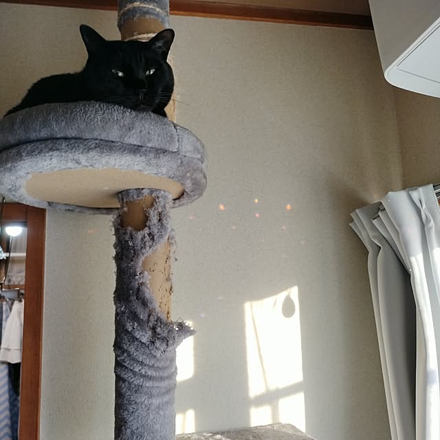 Tさんの実例写真