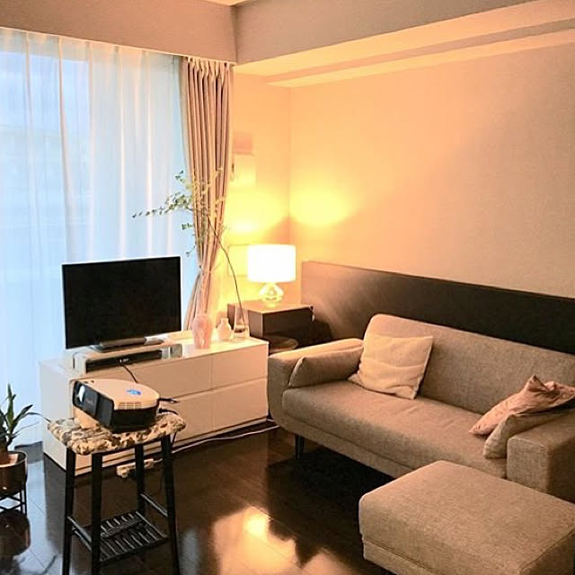 RoomClipアンケート/観葉植物/一人暮らし/ソファ/リビングのインテリア実例 - 2019-09-01 22:42:42