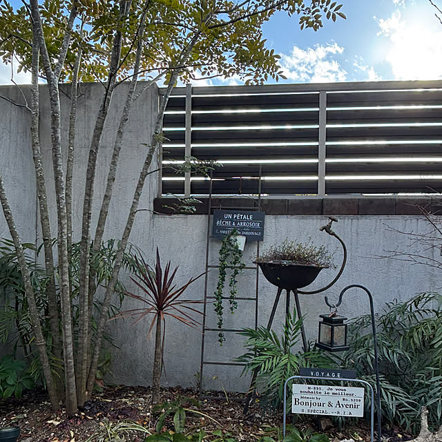 maimai0110さんの実例写真