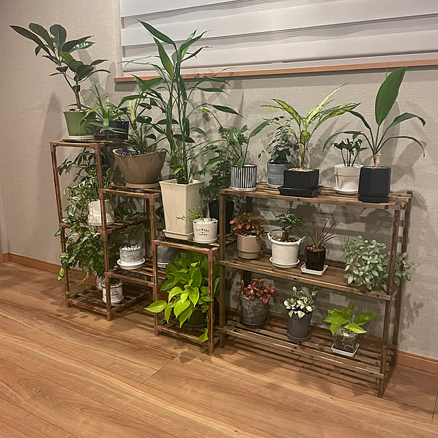 ikuzakさんの部屋