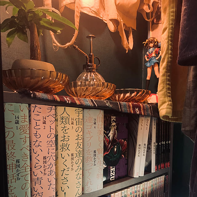 lourlourさんの実例写真