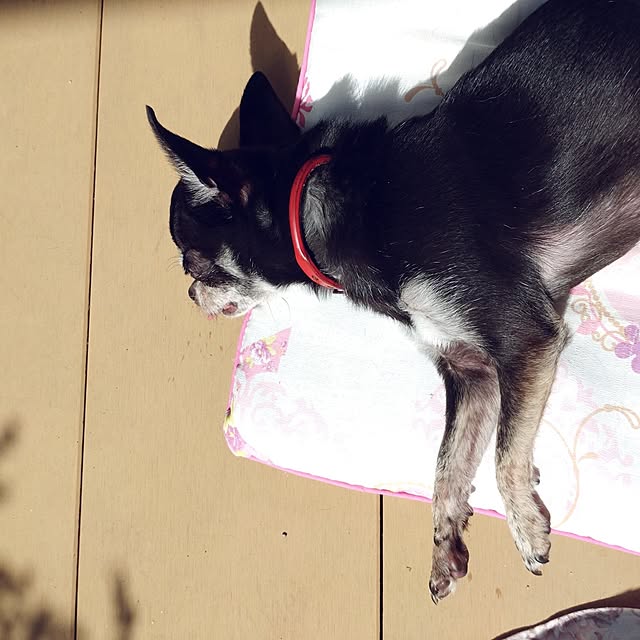 Bienvenueさんの部屋