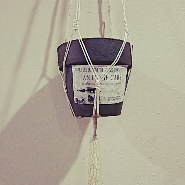 akoさんの実例写真