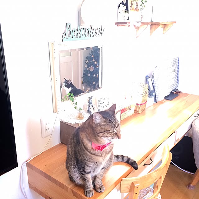 lovecatさんの実例写真