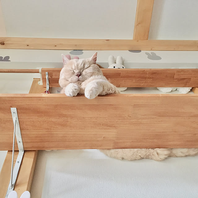 naokoさんの実例写真