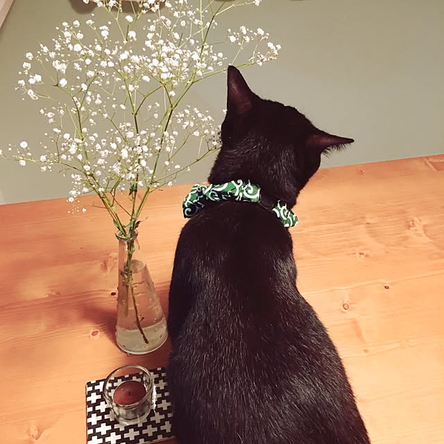 Kaoさんの実例写真