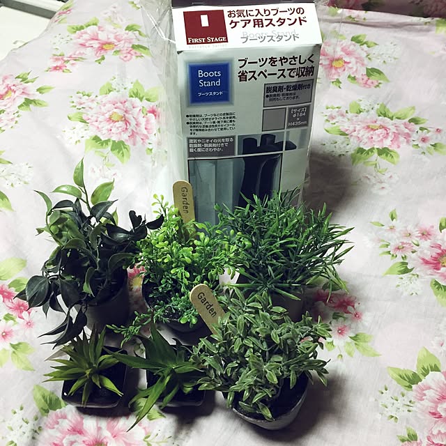 maimaiさんの実例写真
