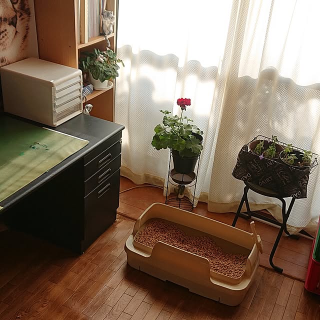 NOAHさんの部屋