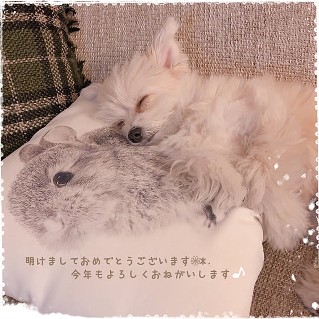 kiraraさんの実例写真