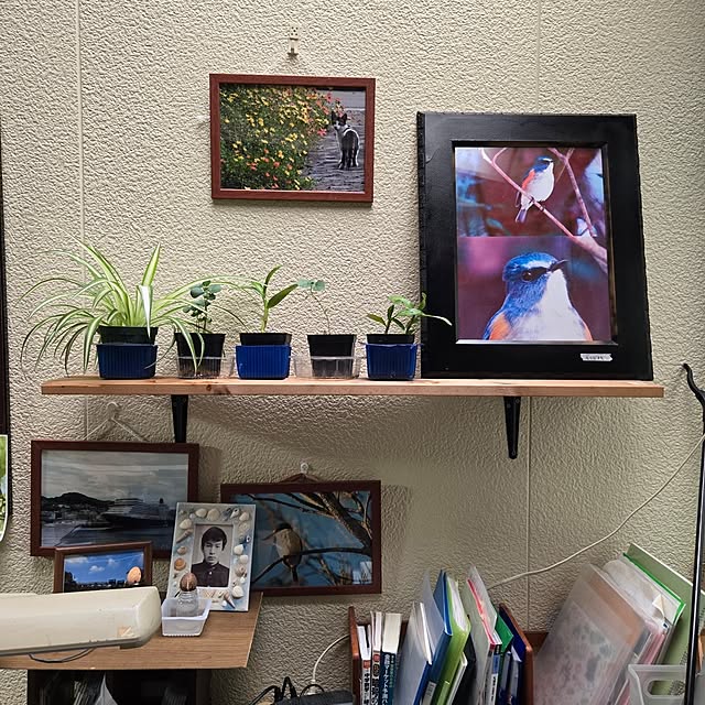 mitsuyama3136さんの部屋