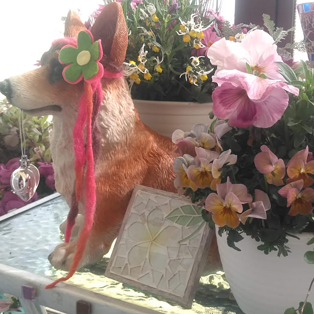 musinosekaiさんの実例写真