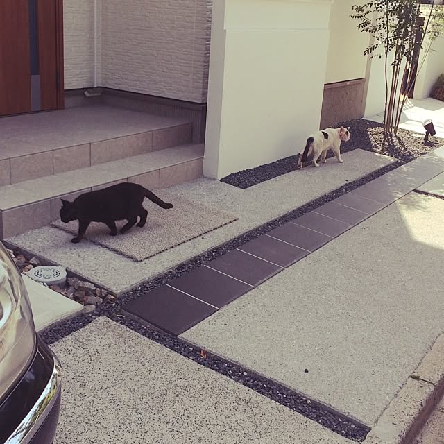 momoさんの実例写真