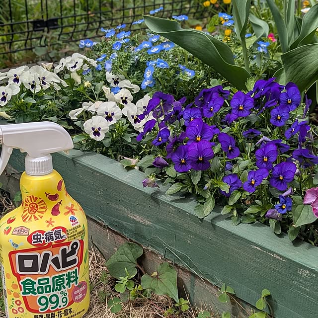 reeさんの実例写真