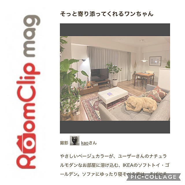 kaoさんの実例写真