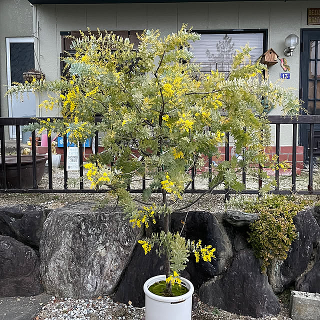 shin0719さんの実例写真