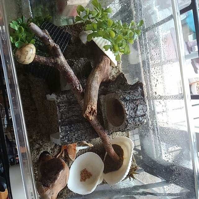 keiko123さんの実例写真