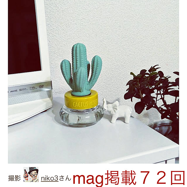 niko3さんの実例写真