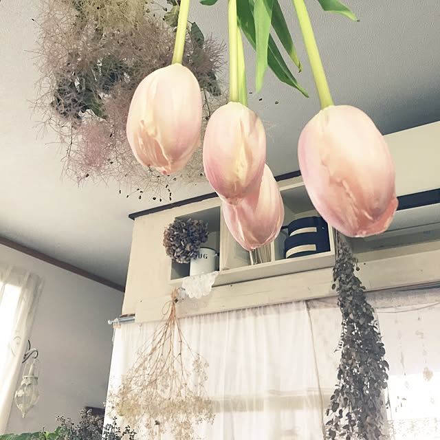 marikaさんの実例写真