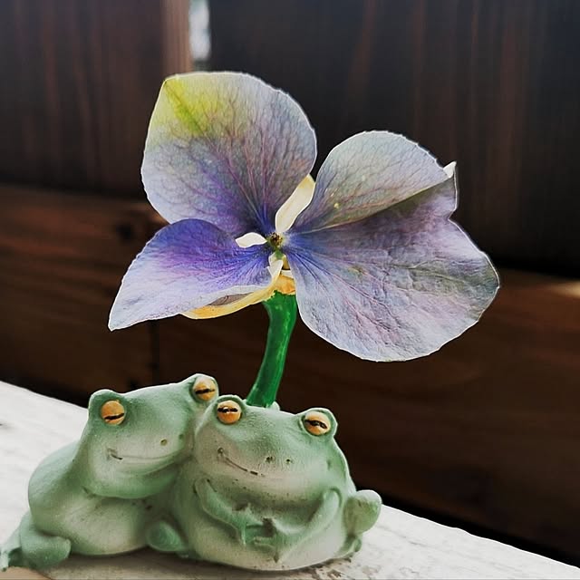 mionaさんの実例写真