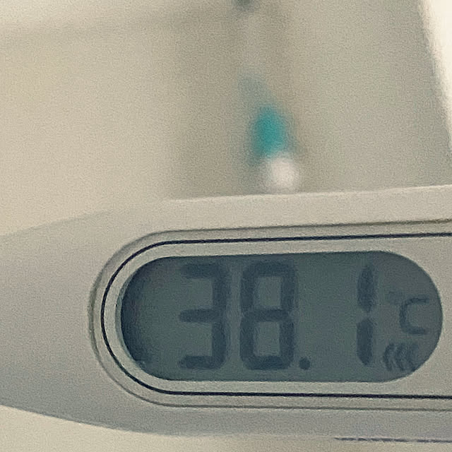 ohanaさんの実例写真