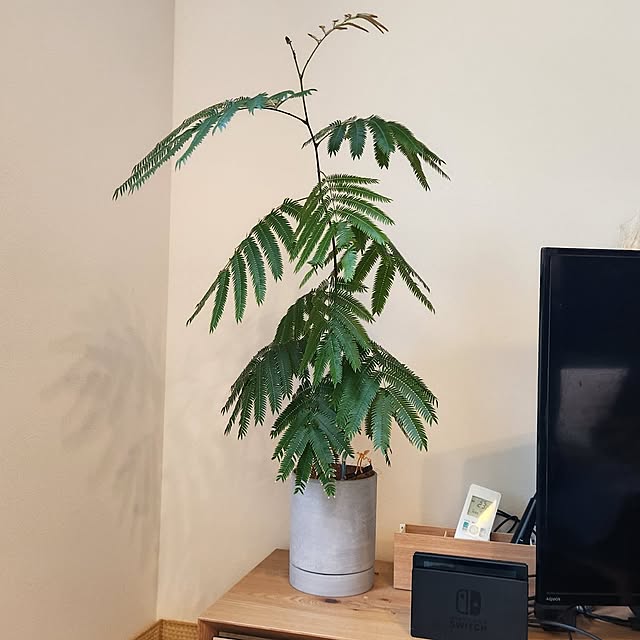gon_hausさんの実例写真