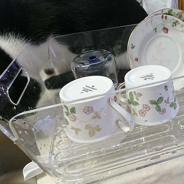 Mooさんの実例写真