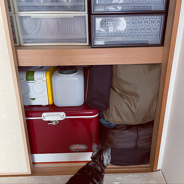 hiyupan88さんの実例写真