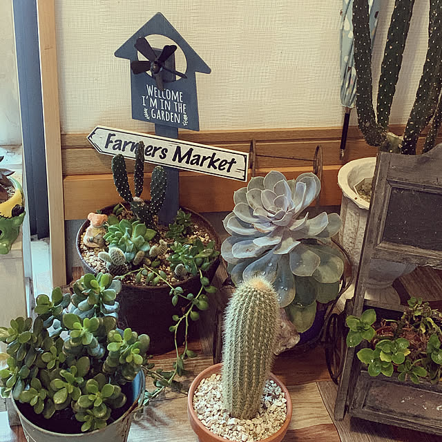 moko7ruiさんの実例写真
